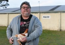 Bird flu response supported