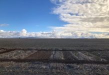 Digging deep: value of the soil microbiome unearthed