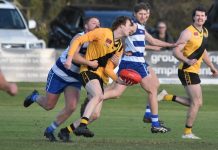 Tigers keen to extend buffer