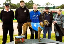 Winning return for local staying star