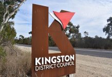 Kingston endorses budget