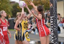 Tigers to enhance position