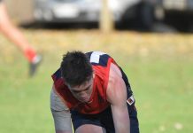 Demons too hot at home