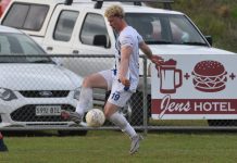 Lions roar to life at home