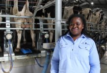 Helping your team learn and grow