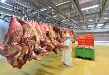 Quarterly red meat production lifts and global demand remains very strong