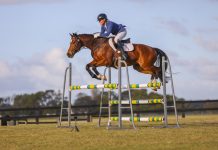 Horse Trials a jumping success