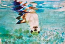 Riddoch exhibtion openings