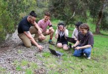 Underground acoustics amplify soil health