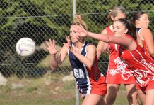 Demons edge ahead in close contest