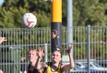 Quick start sets Tigers on victory path