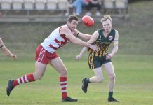 Roosters ready to crow