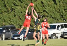 Mozzies hold onto finals hope