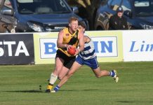 Tigers in red-hot form