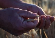 Bordertown to host state wide AGM