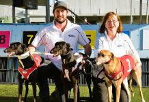 Hamilton trainer lands first treble