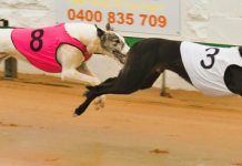 George continues to hold upper hand