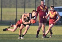 Danger game for Magpies