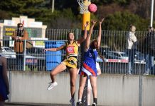 Tigers look to claw win from Cats