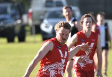 Pink reaches 100-game milestone