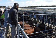 Funding removed, but project still supported