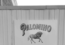 Get to know… Greasy Rhysy