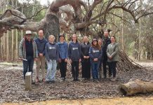 Youth environmental council has big plans