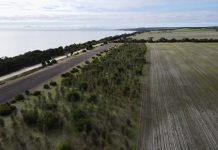 Native vegetation grants available