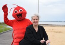 Bay Festival returns