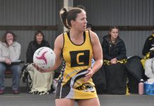 Tigers eye off silverware