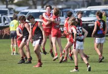 Young Demons paint McLaughlin Park red