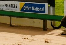 Local Winter Classic competitors clash again in SA Oaks final