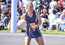 Netball stalwart smashes 250-game benchmark