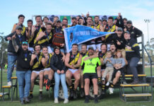 Tigers roar to victory