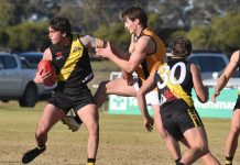 2024 KNTFL Grand Final Preview