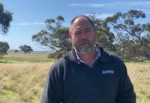 Workshop, funding to support African lovegrass control