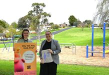 Activities to grow young minds