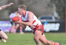 Roosters ready to crow