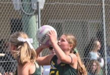 Young talents fight for glory