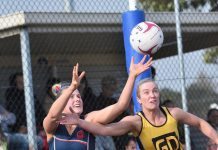 Nail-biting victory for North