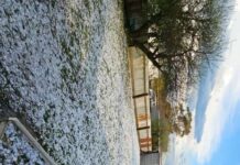 Damage to Casterton after storm