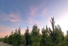 Photography competition extended