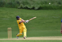 Tigers hold on at home