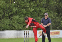 Demons venture to the Kennel