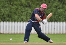 Tigers welcome Roos to lair