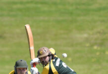 First game back at Frew Park