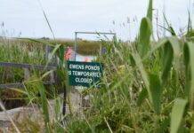 Future of ponds unknown