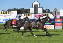 Local interest in feature races