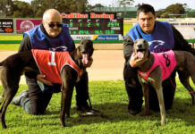 Wild Banker chasing another feature win