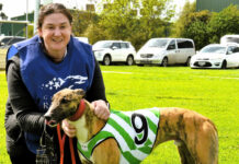 A day of Drew domination